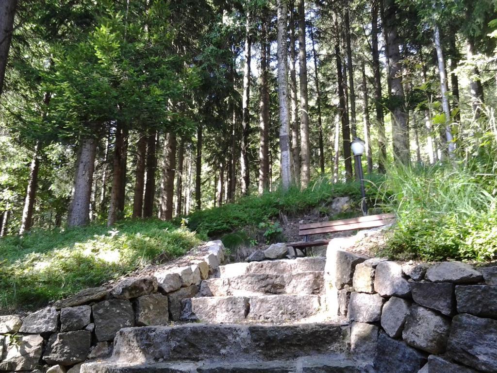 Pokoje Goscinne Pod Sosnami Karpacz Buitenkant foto